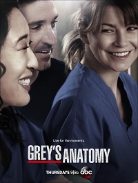 Grey's Anatomy saison 10 en streaming