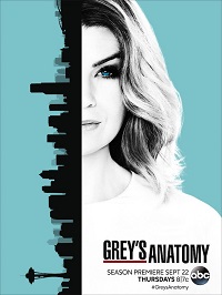 Grey's Anatomy saison 13 en streaming