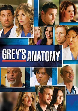 Grey's Anatomy saison 8 en streaming