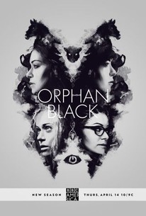 Orphan Black saison 4